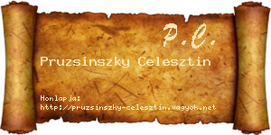 Pruzsinszky Celesztin névjegykártya