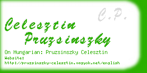 celesztin pruzsinszky business card